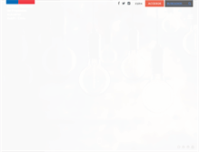 Tablet Screenshot of inapi.cl